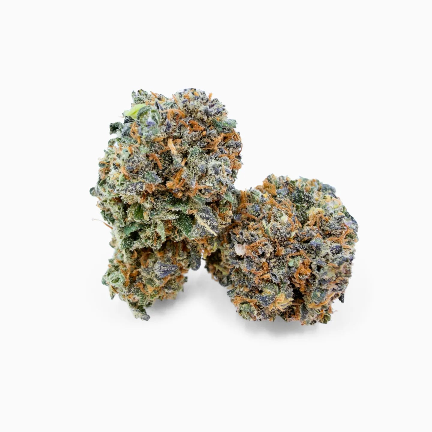 Nahaufnahme von Rollz Miracle Alien Cookies frostigen Cannabis Purple Punch Blütenknospen mit violetten Flecken und orangefarbenen Härchen auf weißem Hintergrund.