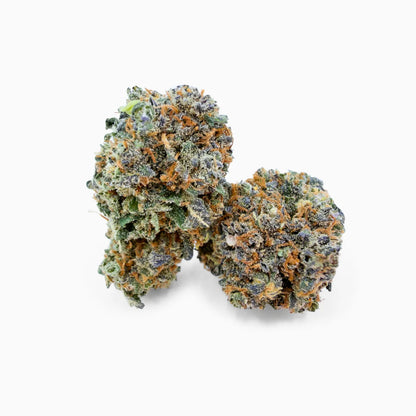 Nahaufnahme von Rollz Miracle Alien Cookies frostigen Cannabis Purple Punch Blütenknospen mit violetten Flecken und orangefarbenen Härchen auf weißem Hintergrund.