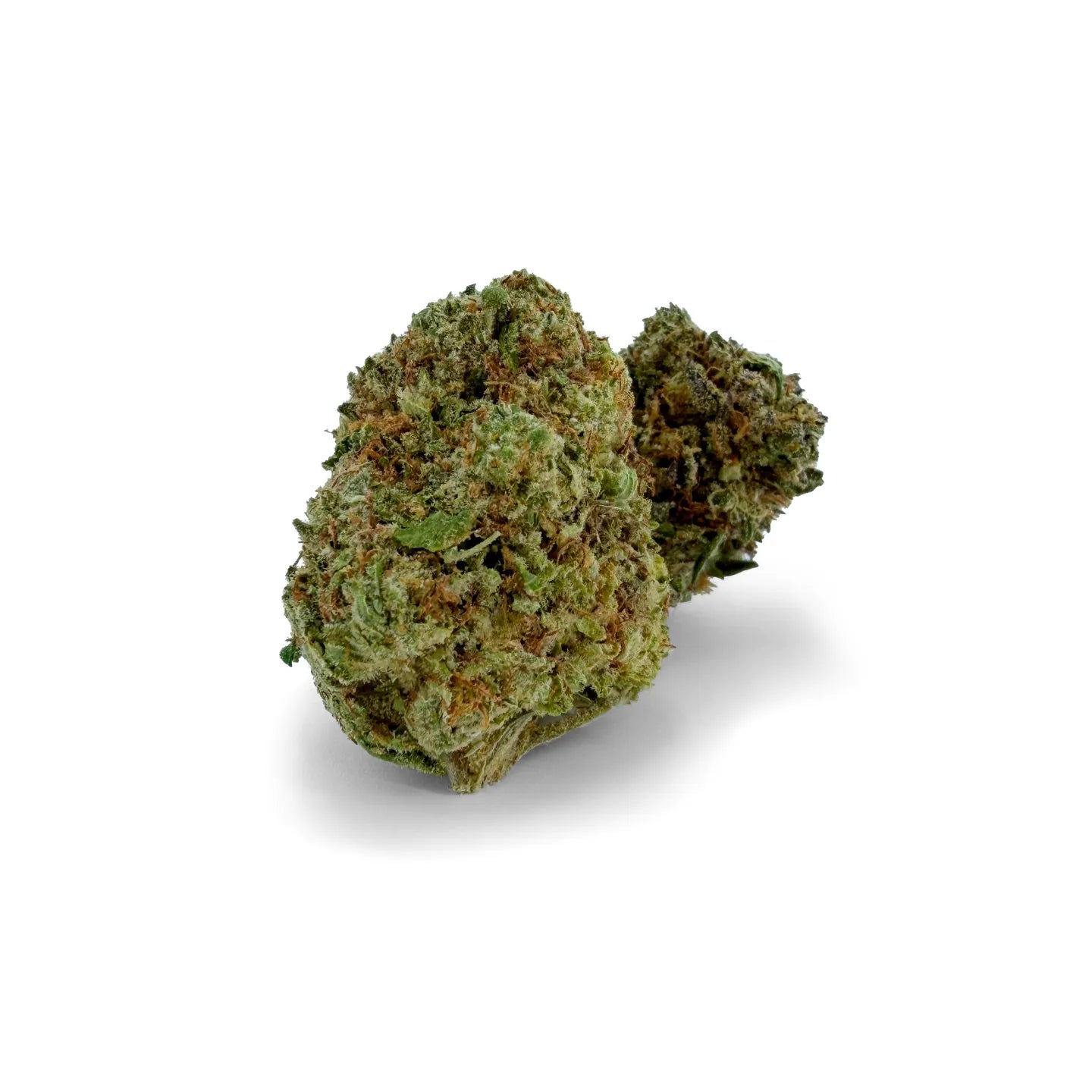 Nahaufnahme von Rollz Montgomery Benz Indoor-THCA-Blüten auf weißem Hintergrund