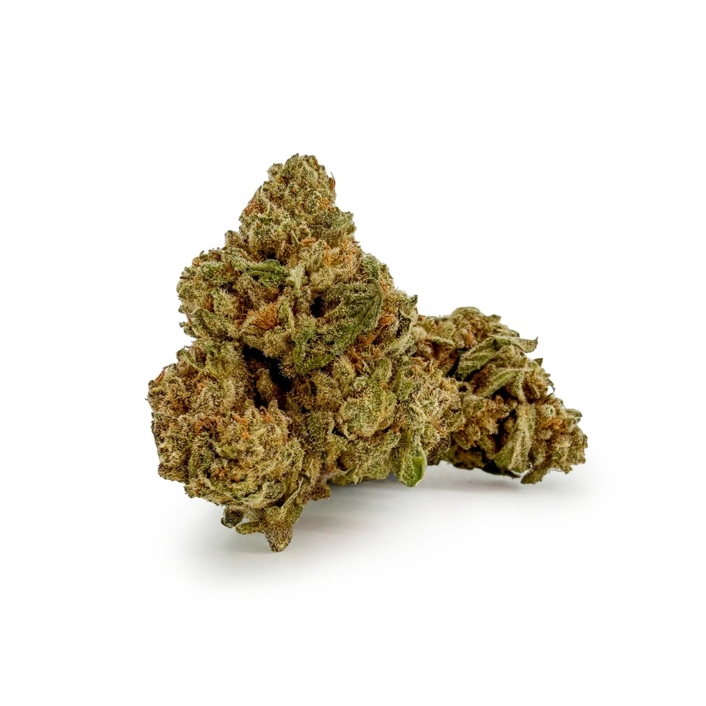 Nahaufnahme der ROLLZ Sniffers THCA Blüte mit kompaktem grünem Bud