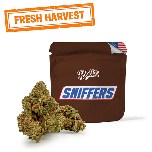 SNIFFERS THCA Blüten