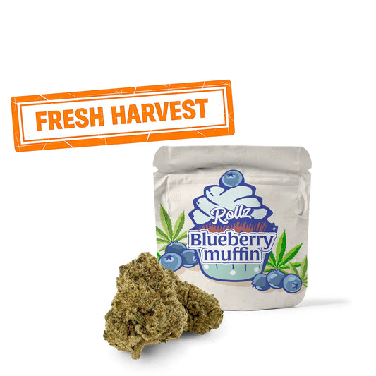 Yaban Mersinli Kek THC-A çiçekleri 
