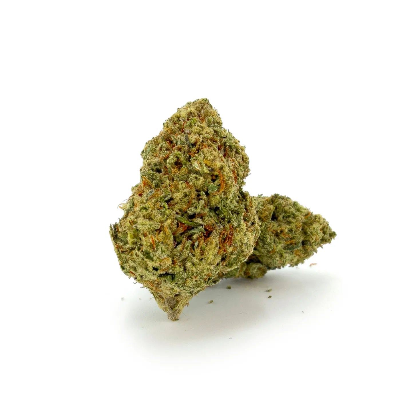 Nahaufnahme der ROLLZ Sniffers THCA Blüte mit kompaktem grünem Bud