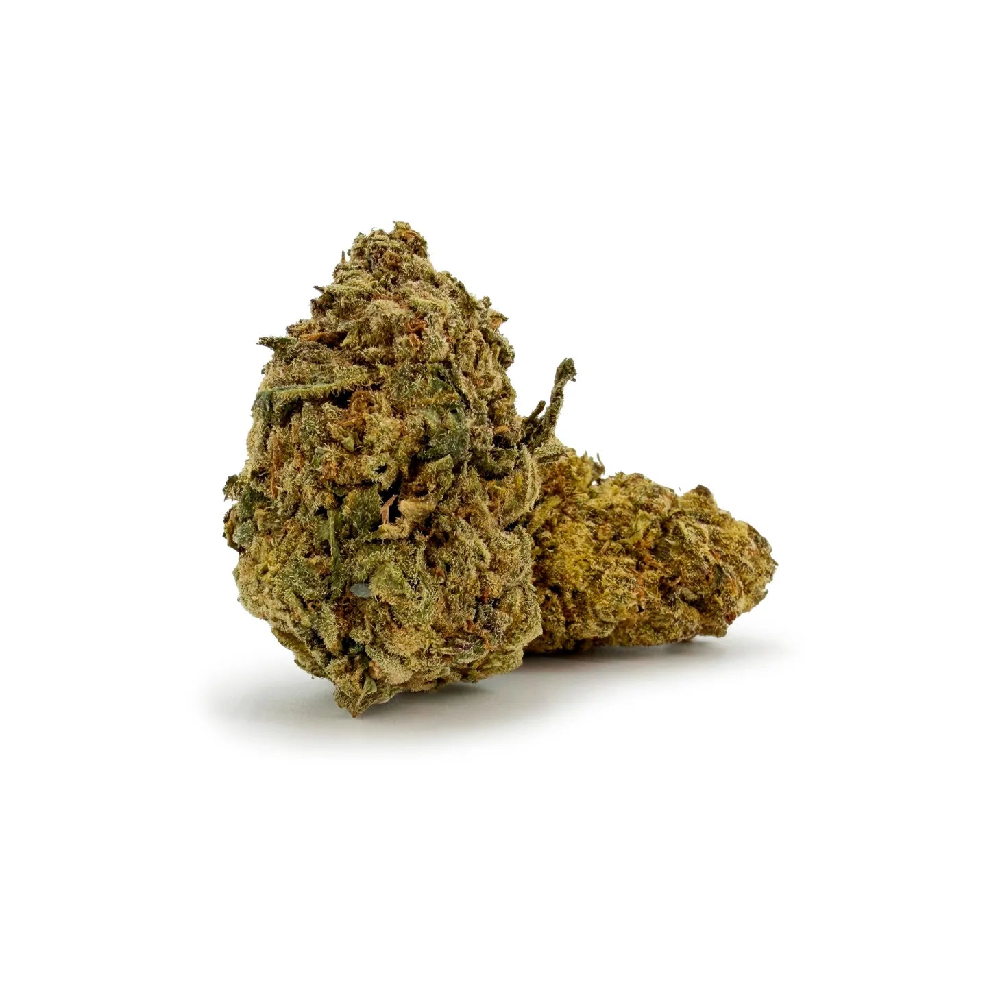 Nahaufnahme von Rollz White Russian Indoor THCA getrockneten Cannabisblüten Glookies Buds auf weißem Hintergrund