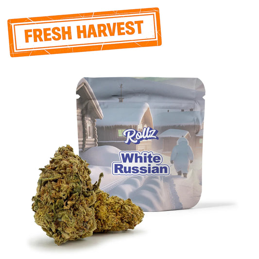 White Russian THC-A Blüten